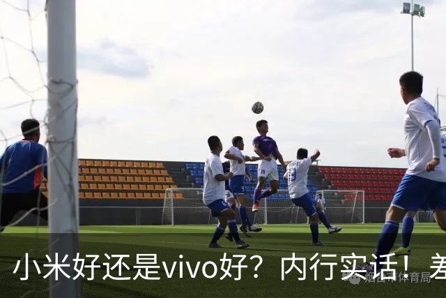 小米好还是vivo好？内行实话！差别真不小，千万别买错
