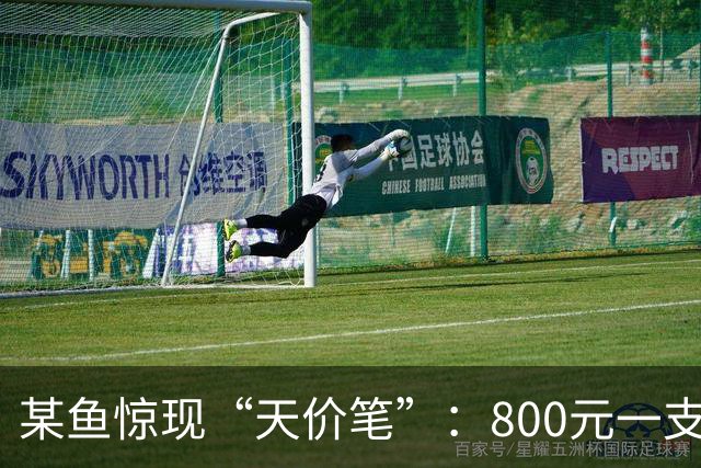 某鱼惊现“天价笔”：800元一支的中性笔，藏着多少肮脏暗语？